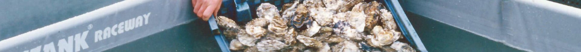 Aquaculture Tanks
